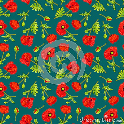 Vector illustration with poppy flowers. Cartoon Illustration